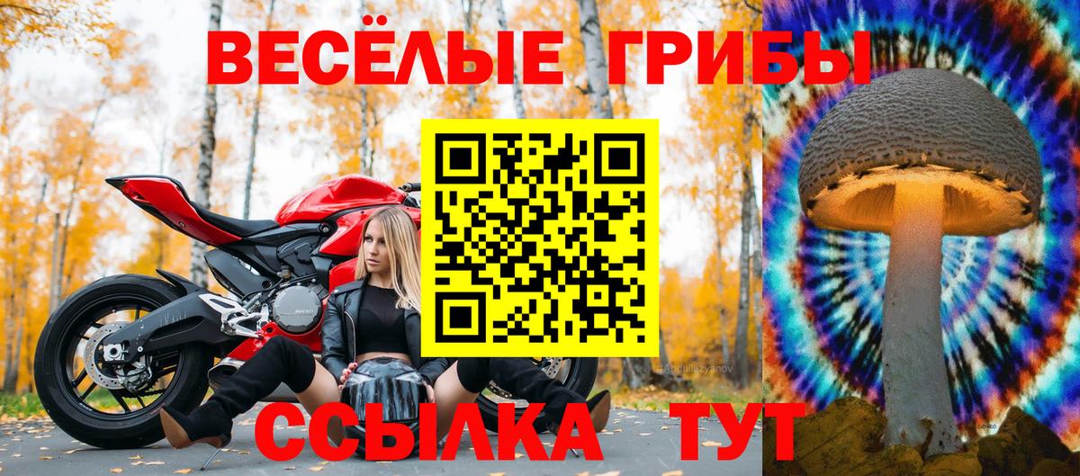 наркота  Вход с VPN  Комсомольск-на-Амуре  Галлюциногенные грибы Magic Shrooms 